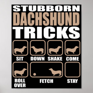 Dachshund Tricks-design voor studenten Poster