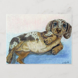 Dachshund Tummy Briefkaart