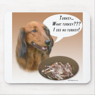 Dachshund Turkije Muismat