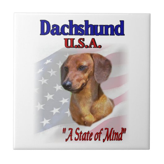 Dachshund USA Tegeltje (Voorkant)