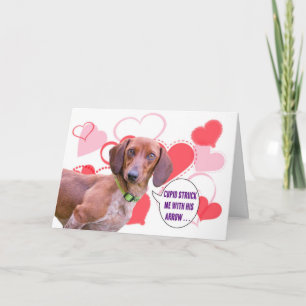 Dachshund Valentijnsdag Kaart