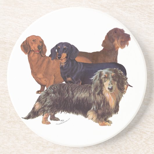Dachshund Varieties Zandsteen Onderzetter (Voorkant)
