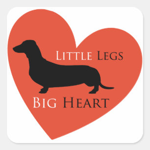Dachshund Vierkante Sticker