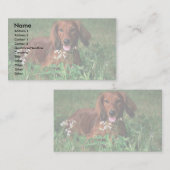 Dachshund Visitekaartje (Voorkant / Achterkant)