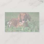 Dachshund Visitekaartje (Achterkant)