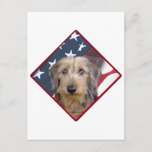 Dachshund Vlag 2 Briefkaart
