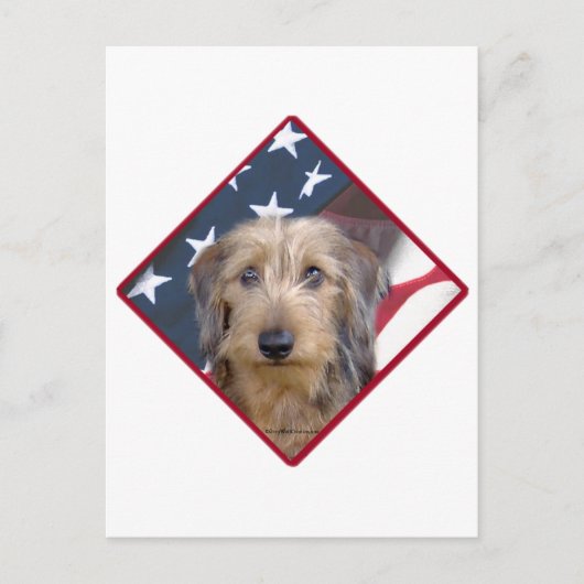 Dachshund Vlag 2 Briefkaart (Voorkant)