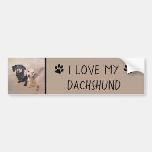 Dachshund (vloeiend) schilderen - Oorspronkelijke Bumpersticker