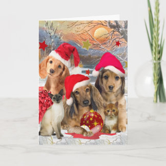 Dachshund Vrolijk Kerstfeest Kaarten