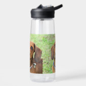 Dachshund Waterfles (Links)