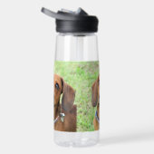 Dachshund Waterfles (Rechts)