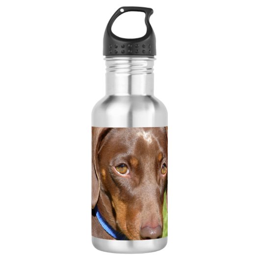 Dachshund Waterfles (Voorkant)