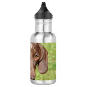 Dachshund Waterfles (Rechts)