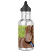 Dachshund Waterfles (Links)