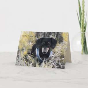 Dachshund-Wenskaart Kaart