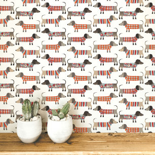 Dachshund Wiener Worst Hond Behang