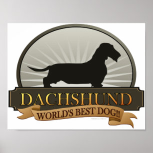 Dachshund [Wire-haire] Poster