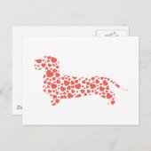 Dachshund Wirehaered Briefkaart (Voorkant / Achterkant)