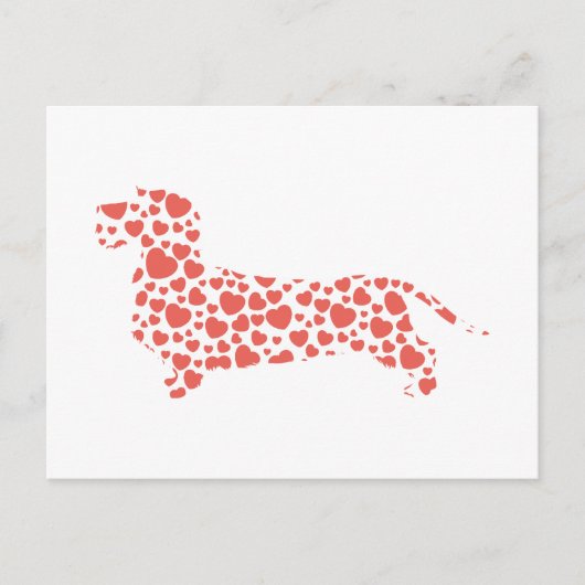 Dachshund Wirehaered Briefkaart (Voorkant)