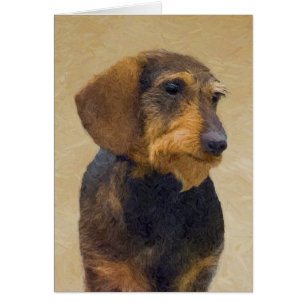 Dachshund (Wirehaire) schilderende oorspronkelijke
