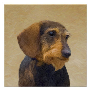 Dachshund (Wirehaire) schilderende oorspronkelijke Perfect Poster