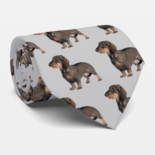 Dachshund Wirehaired Dog Stropdas (Opgerold)