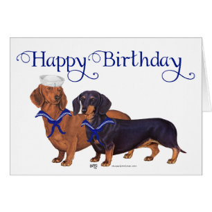 Dachshund Zeelieden