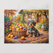 Dachshund zit naast fruitmand herfstboerderij