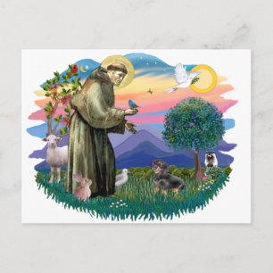 Dachshund (zwart en bruin) briefkaart