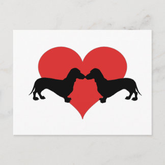 Dachshundlove Briefkaart