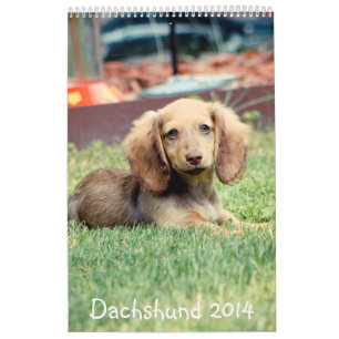 Dachshunds 2014 kalender