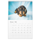 Dachshunds 2014 kalender (Feb 2026)