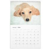 Dachshunds 2014 kalender (Jan 2026)