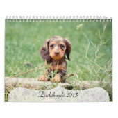 Dachshunds 2015 kalender (Hoes)