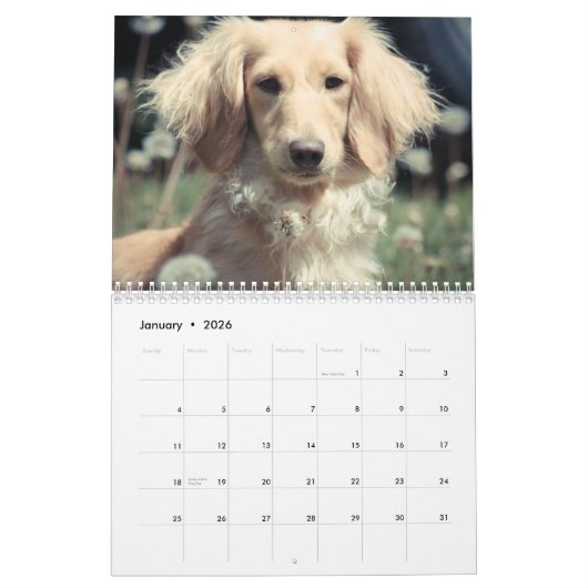 Dachshunds 2015 kalender (Jan 2026)