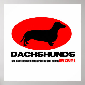 Dachshunds - God maakte hen extra lang Poster