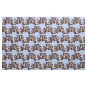 Dachshunds in Blue Stof