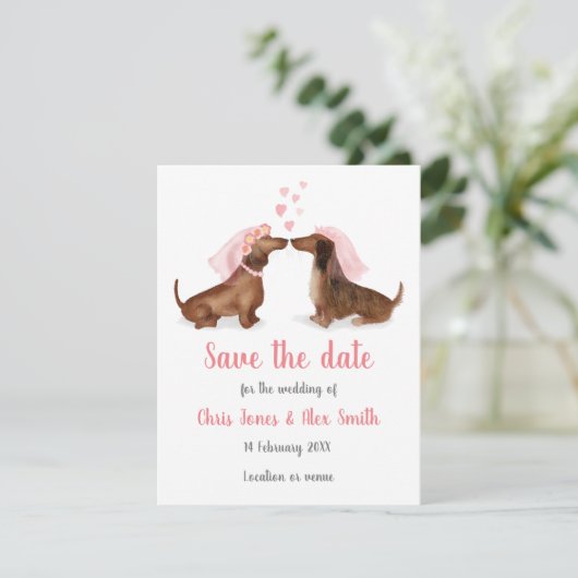 Dachshunds in liefde, behalve de datumkaart (meisj save the date (Staand voorkant)