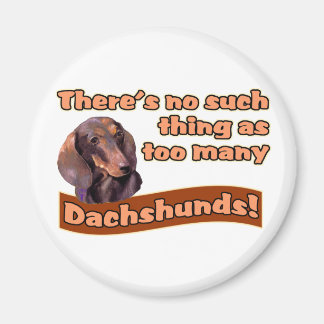 DACHSHUNDS MAGNEET