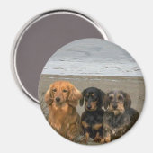 Dachshunds Magnet Sur La Plage (Recto/Verso)
