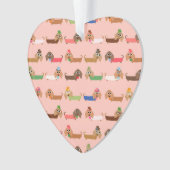 Dachshunds sur rose (devant)