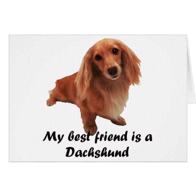 "Dackel" (Devant horizontal)