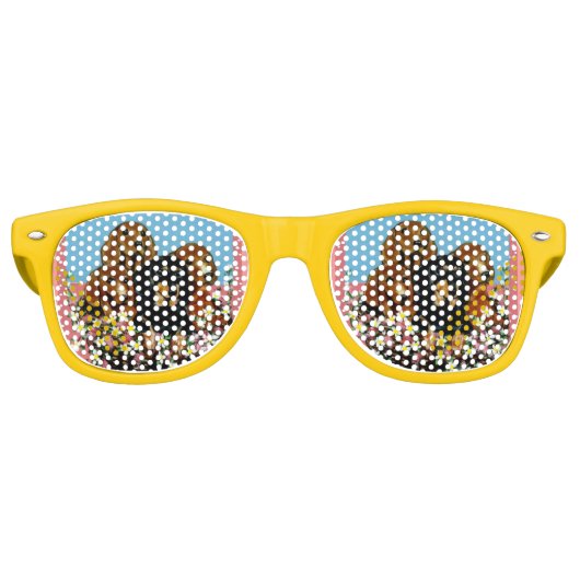 DACKEL  RETRO ZONNEBRIL (Voorkant)