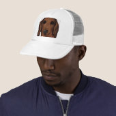 DACKEL TRUCKER PET (In situ)
