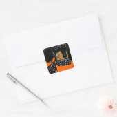 DACKEL VIERKANTE STICKER (Envelop)