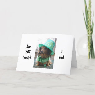 DACSHOUND ZEGT DAT HIJ KLAAR IS VOOR PARTIJ ST. PA KAART