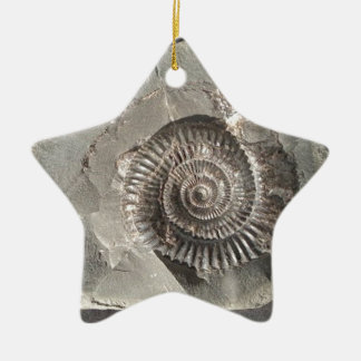 Dactylioceras-ammoniet in steen keramisch ornament