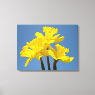 Daddofil Bloemen Canvas afdrukken Blauwe Lucht