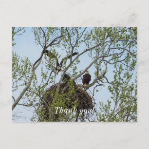 Daddys Home Briefkaart