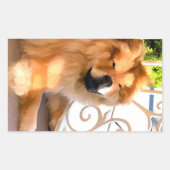 DAEJA BIJ DE Stickers VAN DE BEACHHOUSE-rechthoek (Voorkant)